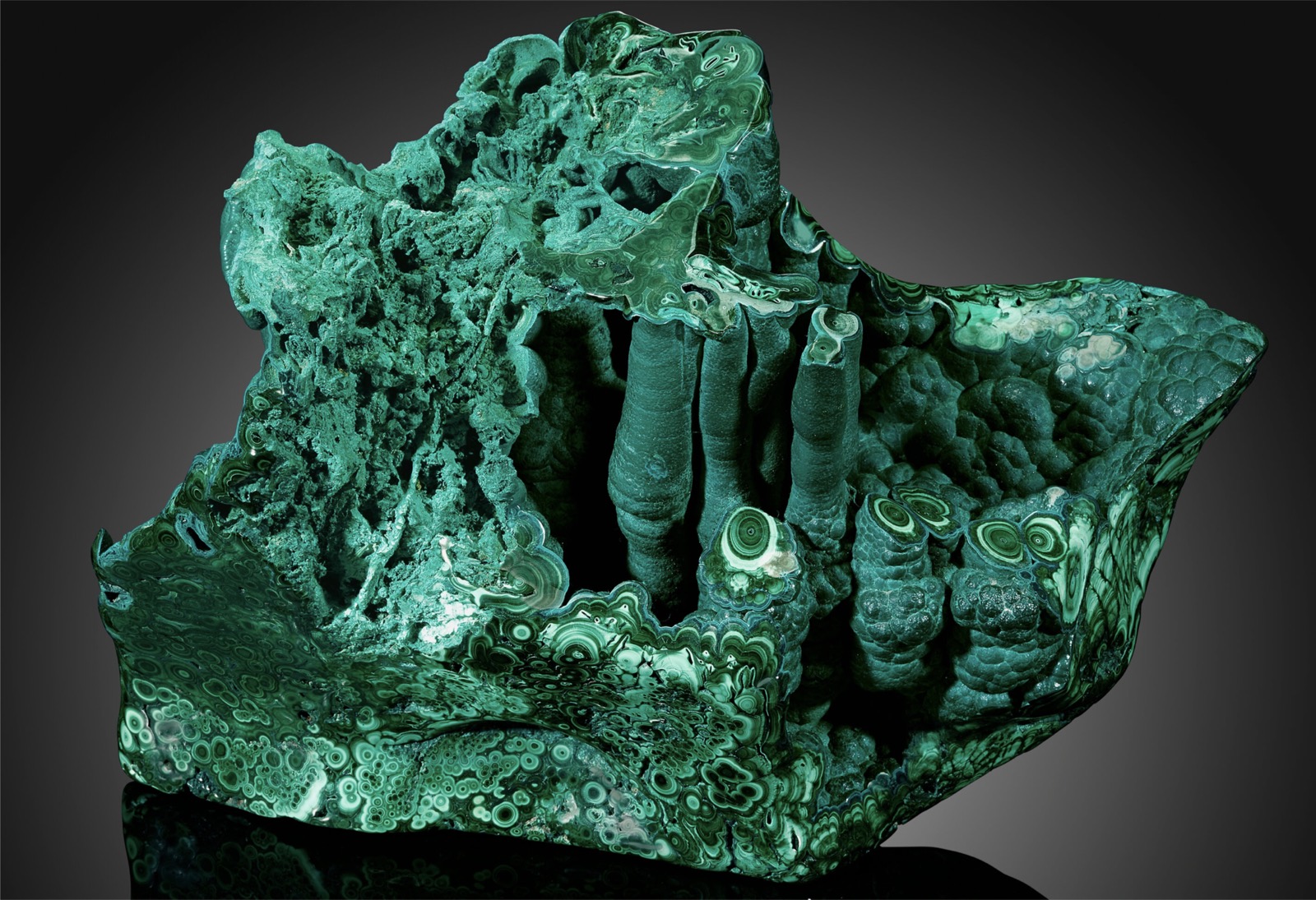 Polished free-form malachite showing concentric green banding like tree rings