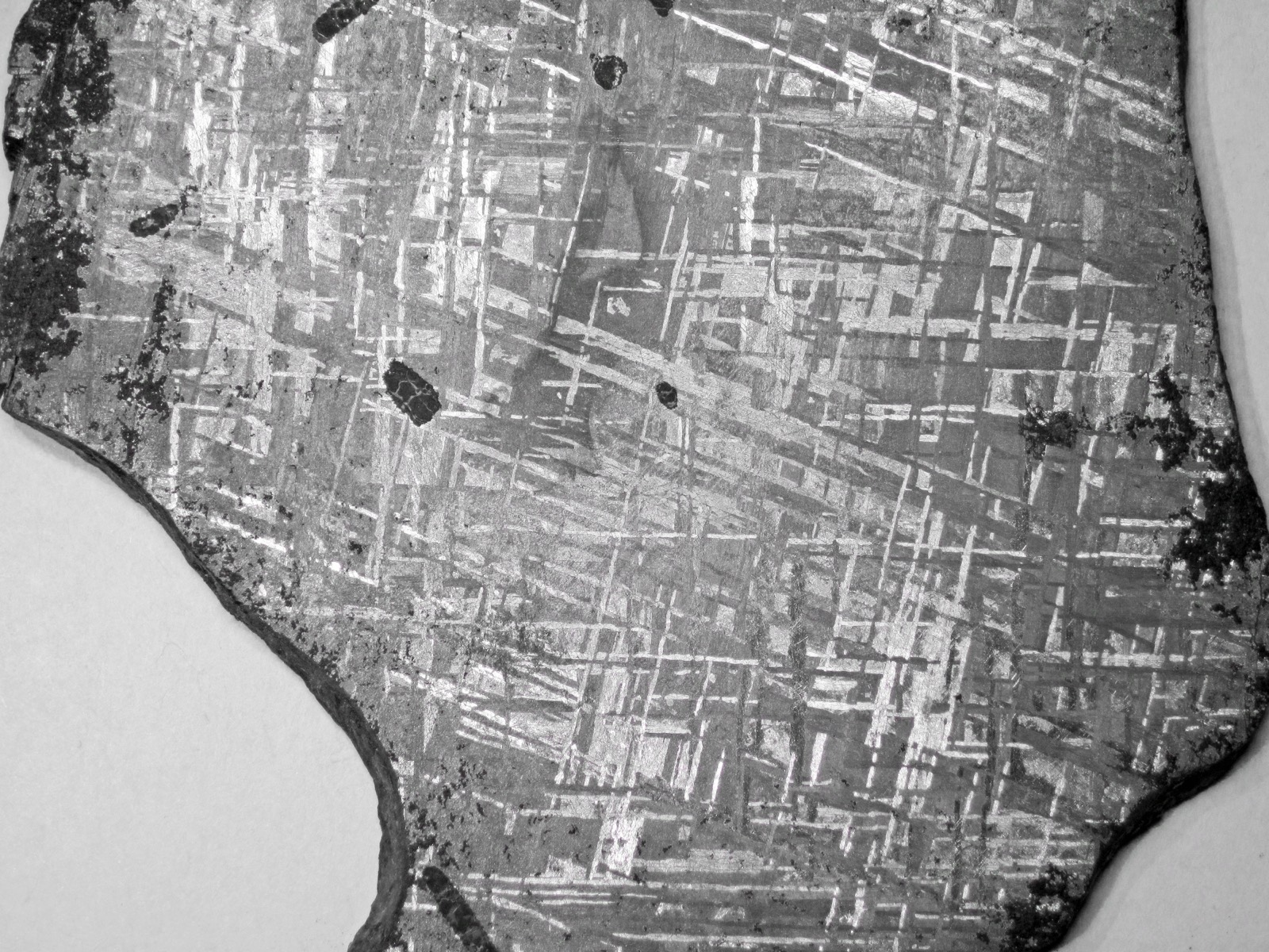 Acid-etched surface of a Gibeon iron meteorite showing the interlocking Widmanstätten crosshatch pattern