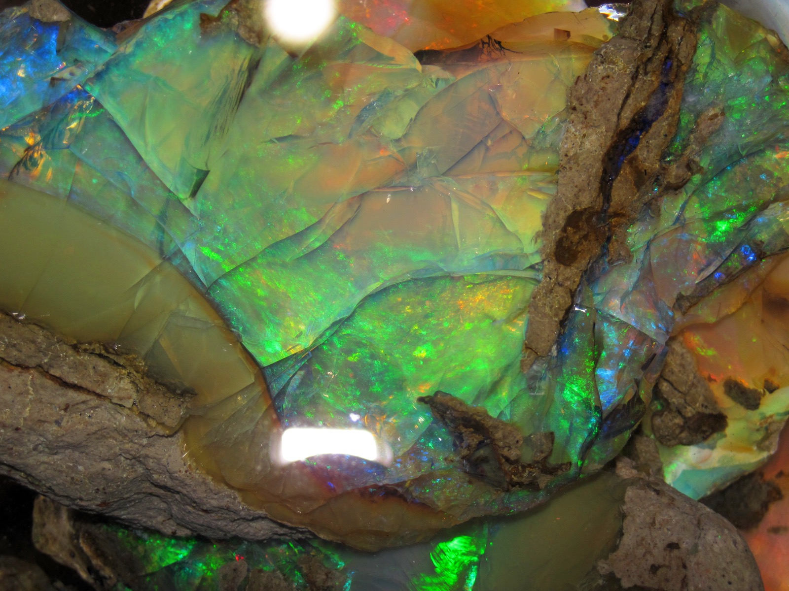 Rough precious opal in matrix, green, gold and blue fire across the surface