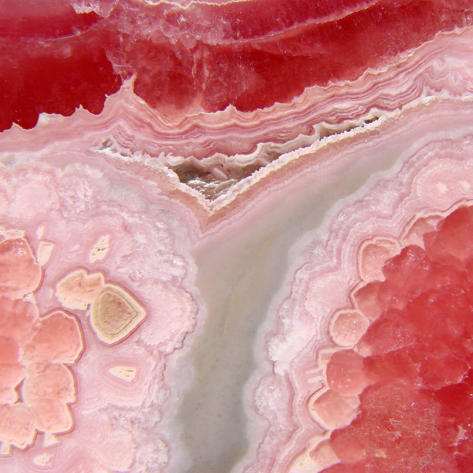 Polished slice of banded rhodochrosite with concentric rose and cream rings